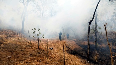 Kebakaran Hutan Gunung Sadranan Slahung Ponorogo Dipadamkan, 1 Hektare Lahan Perhutani Terbakar