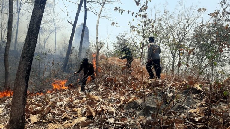 Petugas bersama masyarakat melakukan pemadaman kebakaran hutan di kawasan Dusun Sampung Kidul, Desa Sampung, Kecamatan Sampung, Ponorogo, Minggu (27/9/2026).